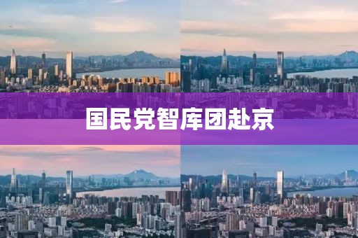 国民党智库团赴京