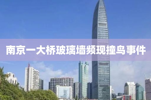 南京一大桥玻璃墙频现撞鸟事件
