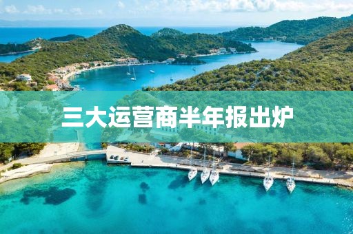 三大运营商半年报出炉
