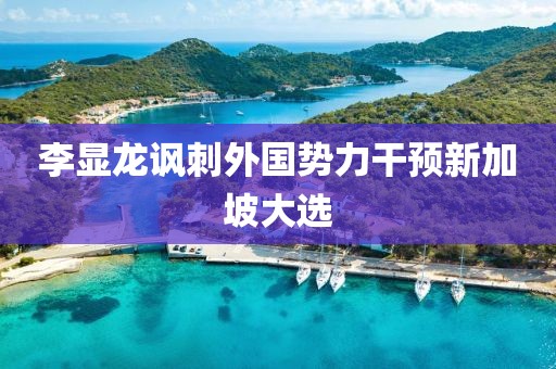 李显龙讽刺外国势力干预新加坡大选
