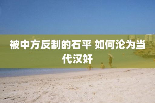 被中方反制的石平 如何沦为当代汉奸