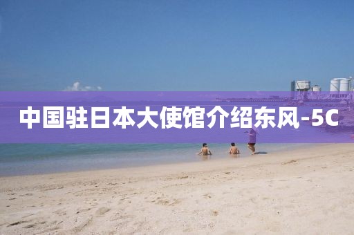 中国驻日本大使馆介绍东风-5C