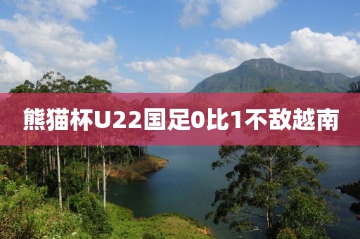 熊猫杯U22国足0比1不敌越南