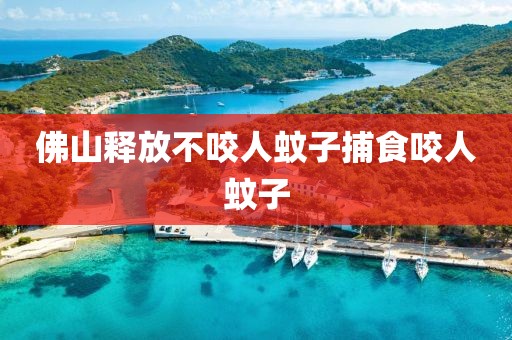 佛山释放不咬人蚊子捕食咬人蚊子
