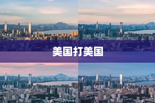 美国打美国