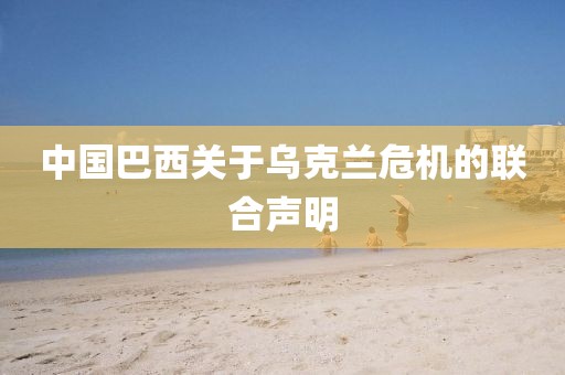 中国巴西关于乌克兰危机的联合声明