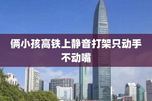 俩小孩高铁上静音打架只动手不动嘴