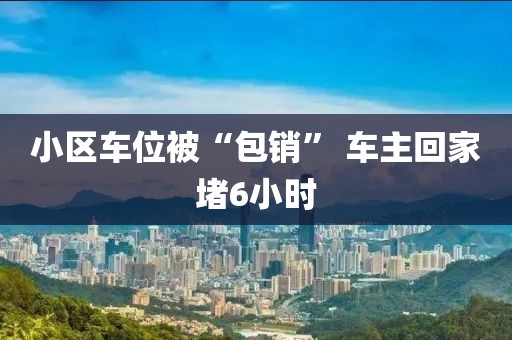 小区车位被“包销” 车主回家堵6小时