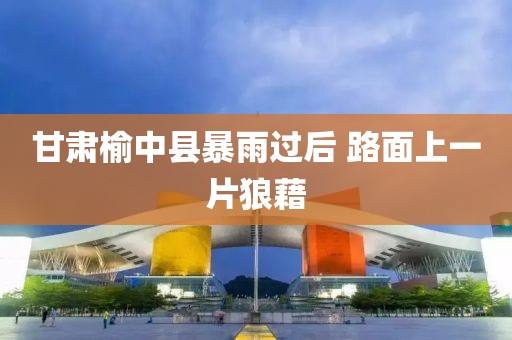 甘肃榆中县暴雨过后 路面上一片狼藉