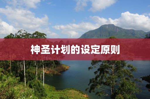 上架即秒光 2600亿元大市场爆发 上架即秒光 2600亿元大市场爆发