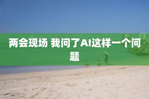 两会现场 我问了AI这样一个问题