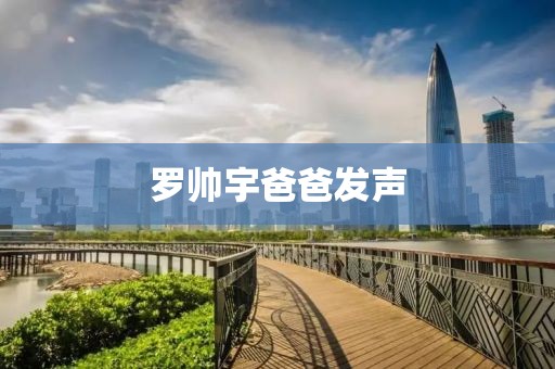 罗帅宇爸爸发声