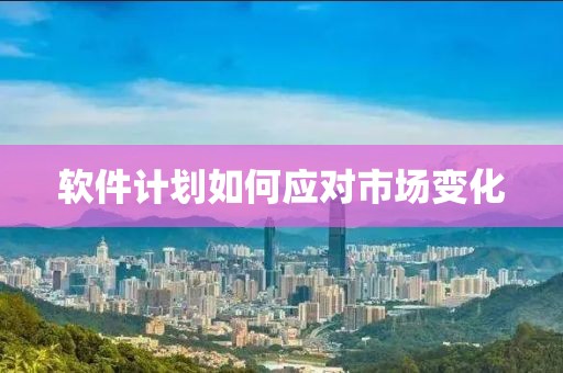 软件计划如何应对市场变化