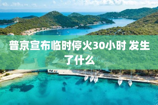 普京宣布临时停火30小时 发生了什么