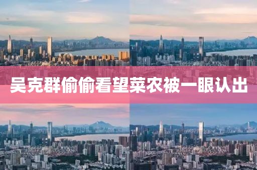 吴克群偷偷看望菜农被一眼认出