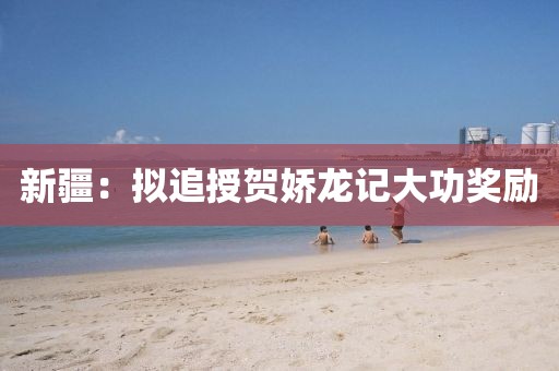 新疆：拟追授贺娇龙记大功奖励