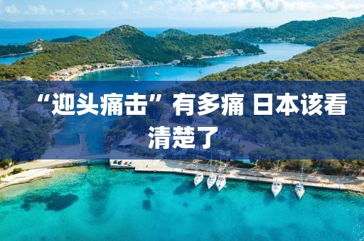 “迎头痛击”有多痛 日本该看清楚了