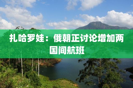 扎哈罗娃：俄朝正讨论增加两国间航班