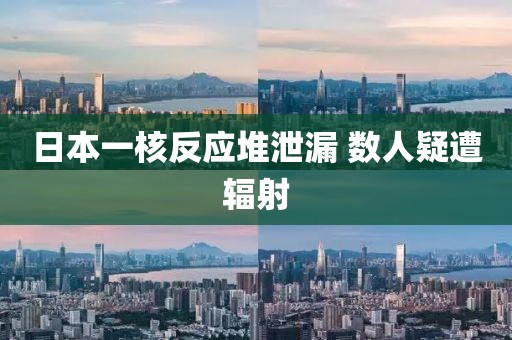 日本一核反应堆泄漏 数人疑遭辐射