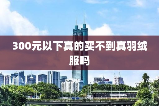 300元以下真的买不到真羽绒服吗