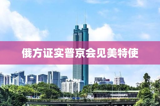 俄方证实普京会见美特使
