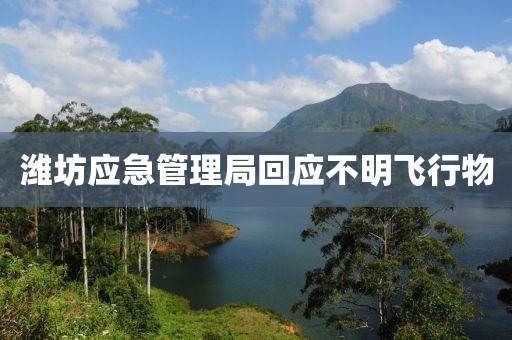 潍坊应急管理局回应不明飞行物