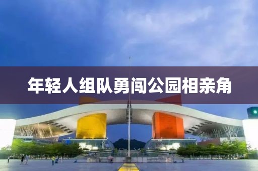 年轻人组队勇闯公园相亲角