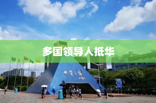 多国领导人抵华