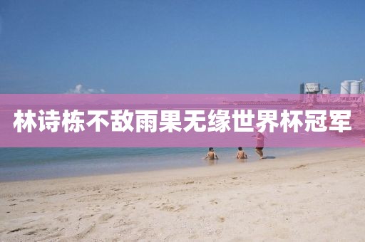 林诗栋不敌雨果无缘世界杯冠军