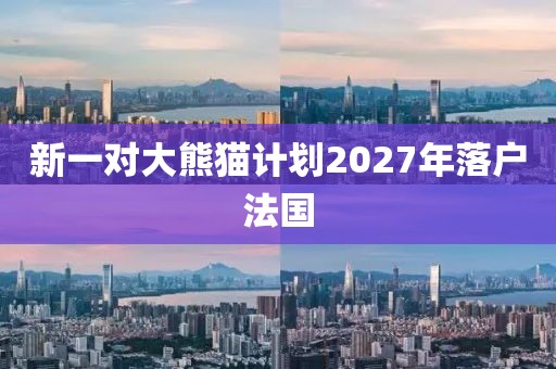 新一对大熊猫计划2027年落户法国