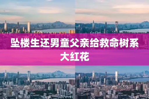 坠楼生还男童父亲给救命树系大红花