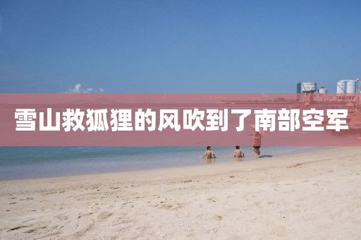 雪山救狐狸的风吹到了南部空军