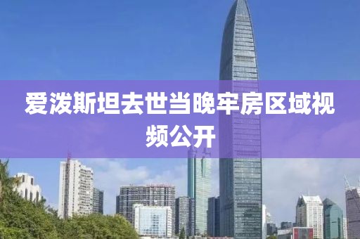 爱泼斯坦去世当晚牢房区域视频公开
