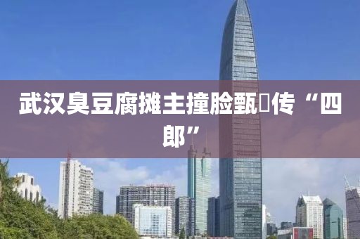 武汉臭豆腐摊主撞脸甄嬛传“四郎”