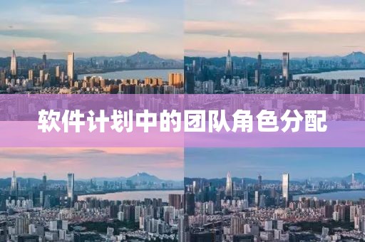 软件计划中的团队角色分配