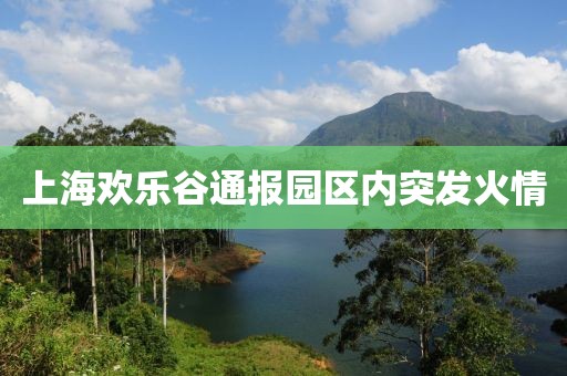 上海欢乐谷通报园区内突发火情