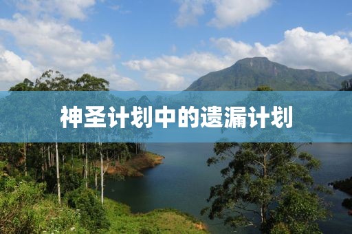 计划软件与区块链整合
