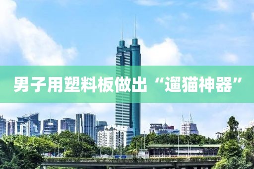 男子用塑料板做出“遛猫神器”