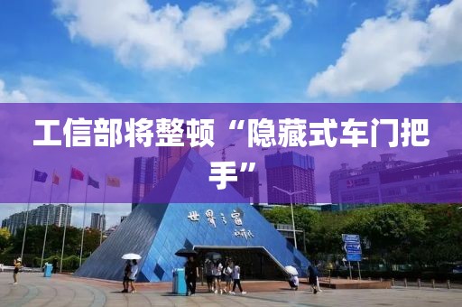 工信部将整顿“隐藏式车门把手”