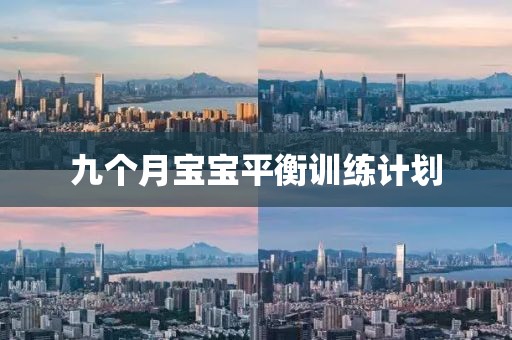 康辉有新身份