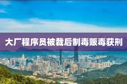 大厂程序员被裁后制毒贩毒获刑