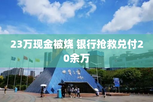 23万现金被烧 银行抢救兑付20余万