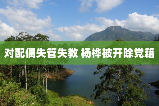 对配偶失管失教 杨桦被开除党籍