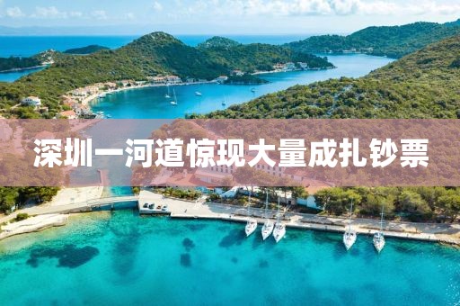 深圳一河道惊现大量成扎钞票