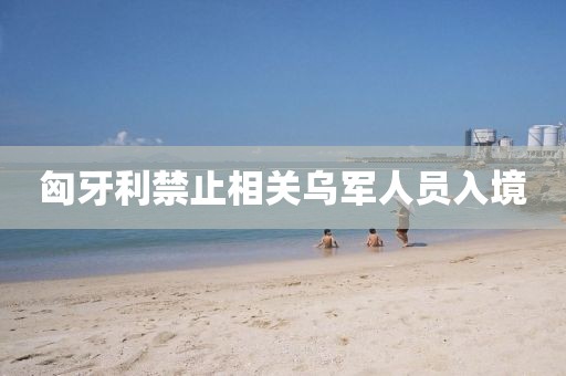 匈牙利禁止相关乌军人员入境