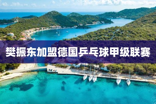 樊振东加盟德国乒乓球甲级联赛