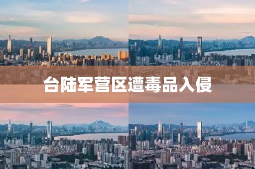 台陆军营区遭毒品入侵