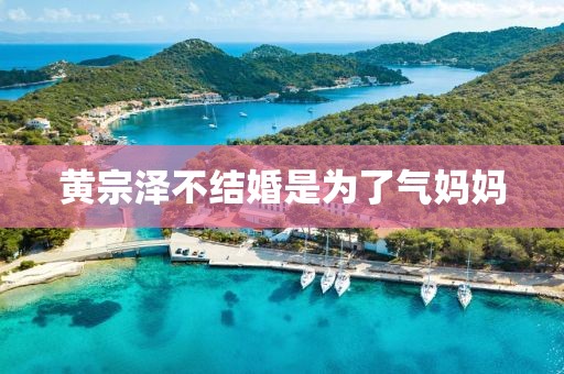 黄宗泽不结婚是为了气妈妈