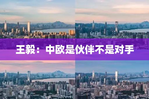 王毅:中欧是伙伴不是对手
