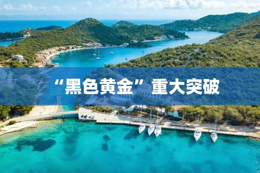 “黑色黄金”重大突破
